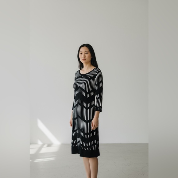 Taylor (Swift) Black & White Chevron Striped 3/4 Sleeve Sweater Dress Size XL - Picture 9 of 9